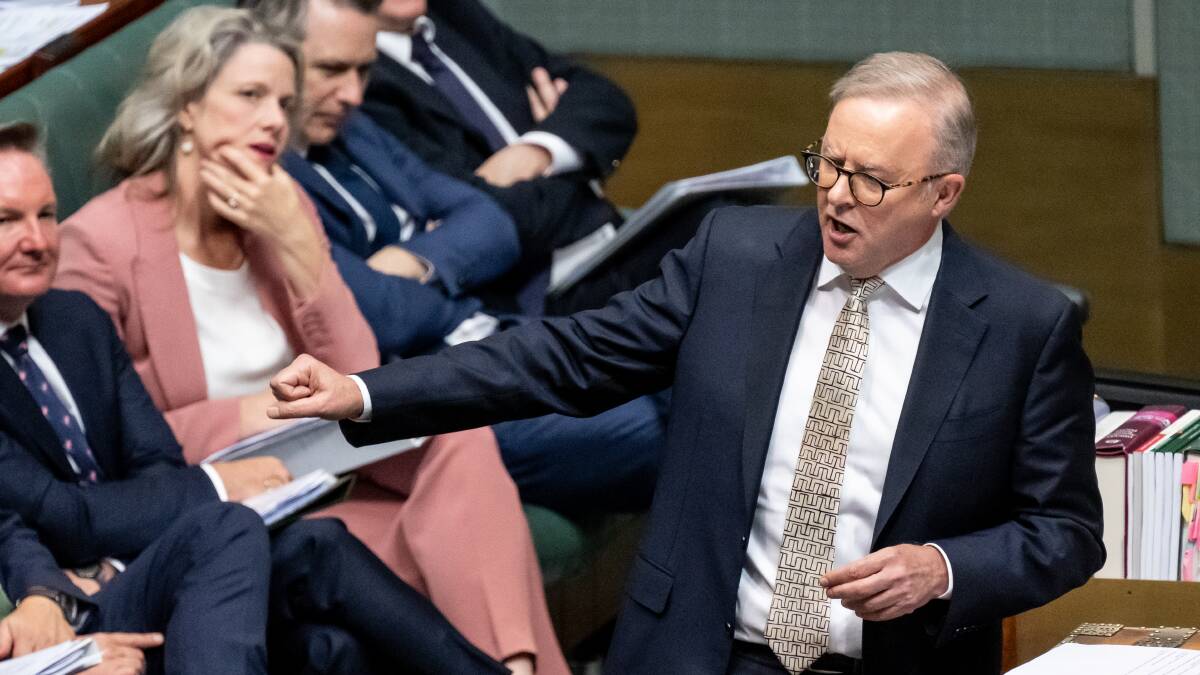 Prime Minister Anthony Albanese in question time. Picture by Elesa Kurtz