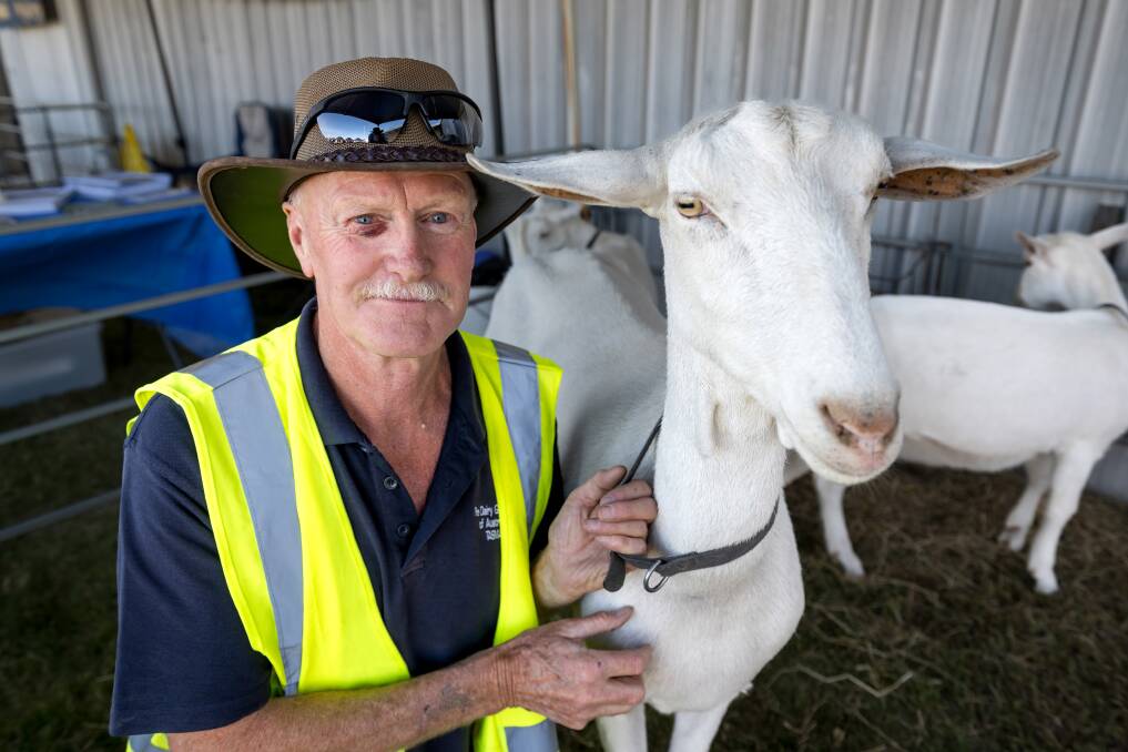 Goat Fest convener and President of the Dairy Goats Society Tasmania Steve Baldock. Picture by Phillip Biggs. 