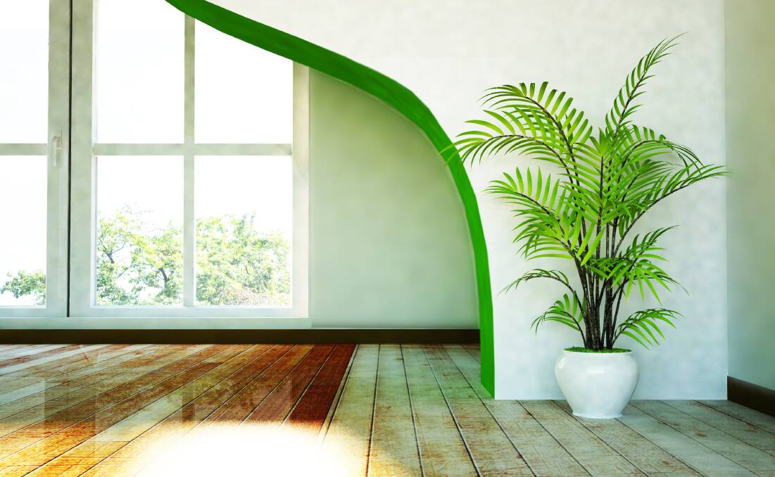Palms, perennial indoor favourites, add a sculptural element to any room.
