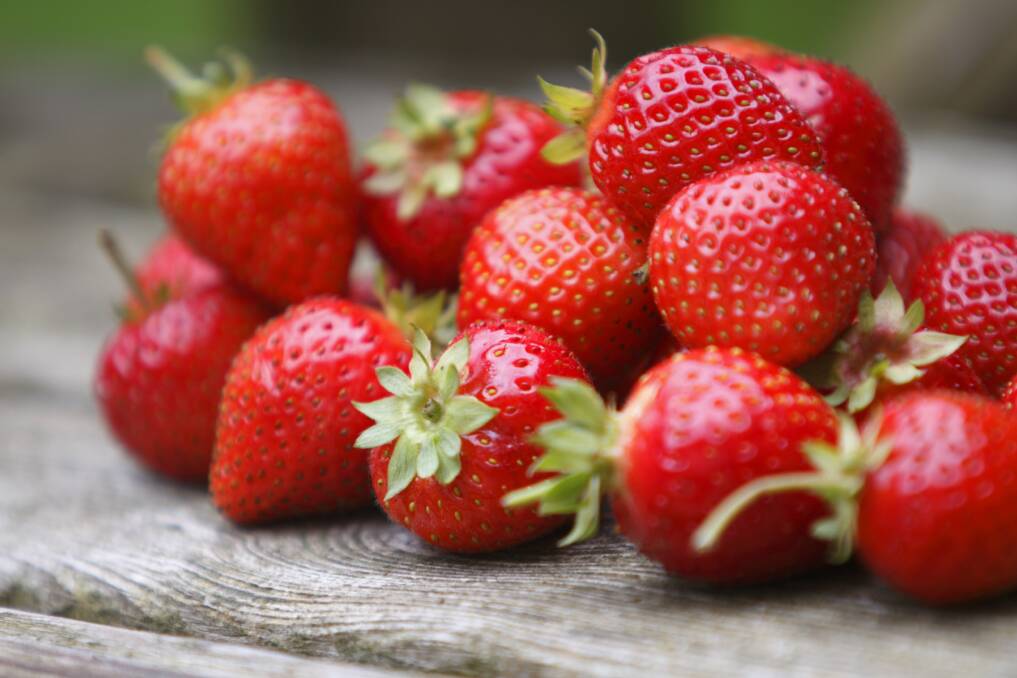 BERRY DELIGHTFUL: There's nothing quite like sweet, juicy strawberries fresh from the garden. Plant now to enjoy later in the year.