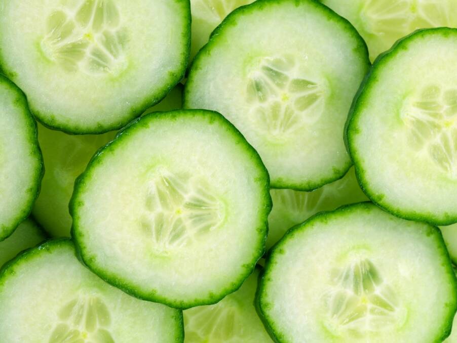 Tasmania is the perfect place to grow cucumbers which are best harvested as soon as mature.