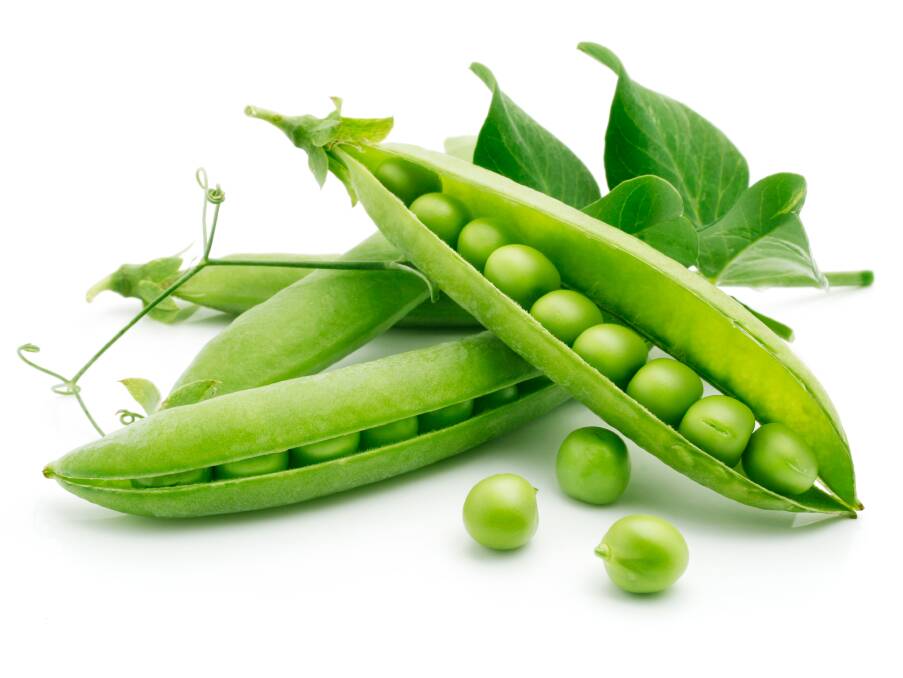 Nothing beats peas fresh from the garden. Plant in early spring and again in late summer.