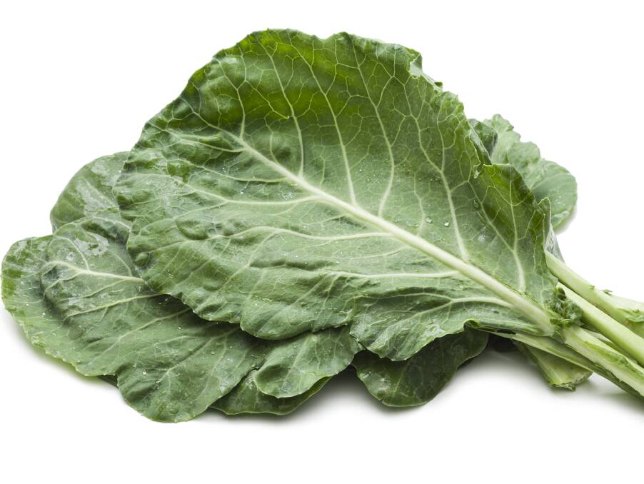 Collard is an alternative to your standard greens and, like kale, is a member of the brassica family.