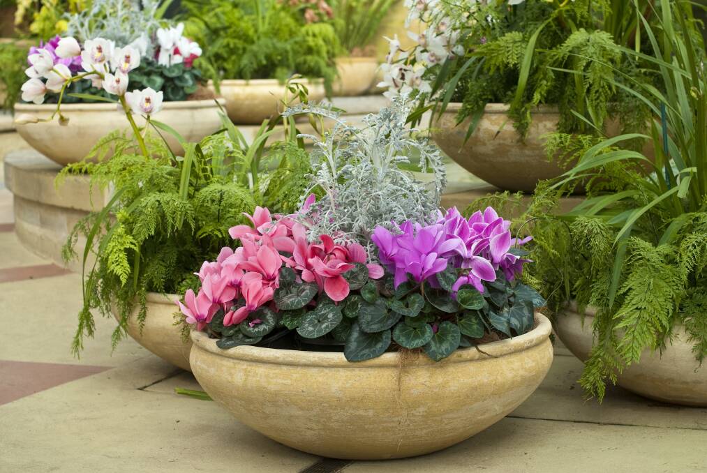DYNAMIC SPACES: Containers can be replanted each season to provide a gardenscape which changes constantly.