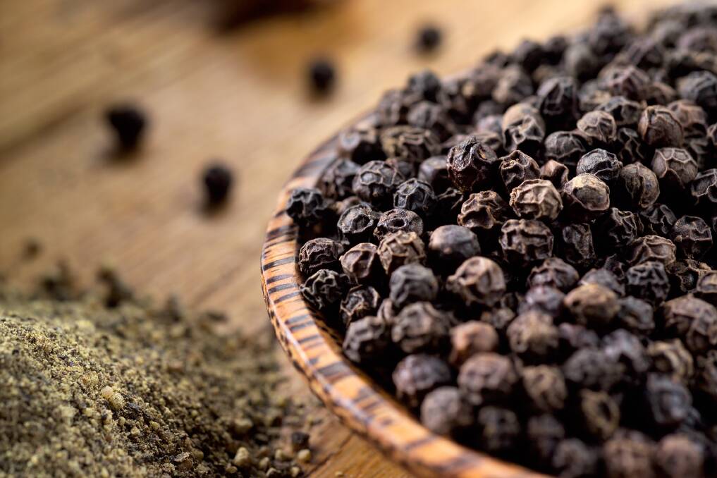 Black pepper is the dry, unripened fruit of the Piper nigram, a climbing plant.