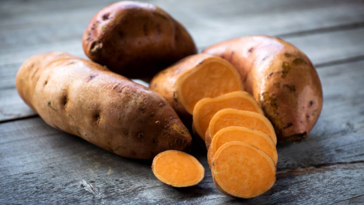 Sweet potatoes are not related to ordinary potatoes and grow in a different way.