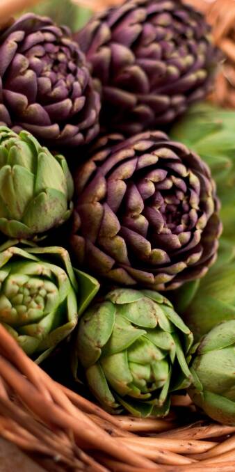 EXOTIC ADDITION: Globe artichokes can be eaten raw or cooked and can be grown in your backyard with the right preparation.
