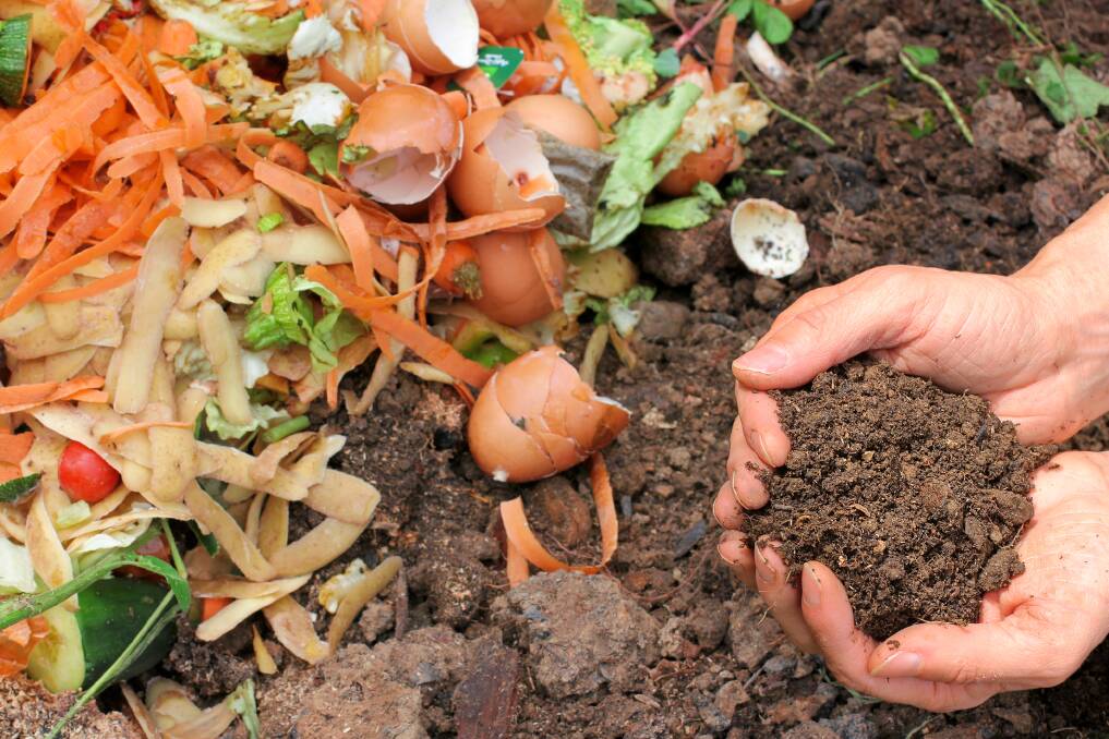 Compost can be turned into a nutritious and beneficial tea for your plants.