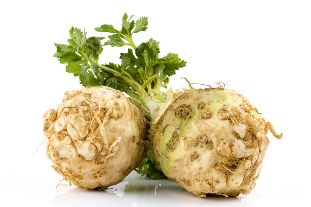 VERSATILE: The celery-flavoured celeriac prefers well-drained soils.