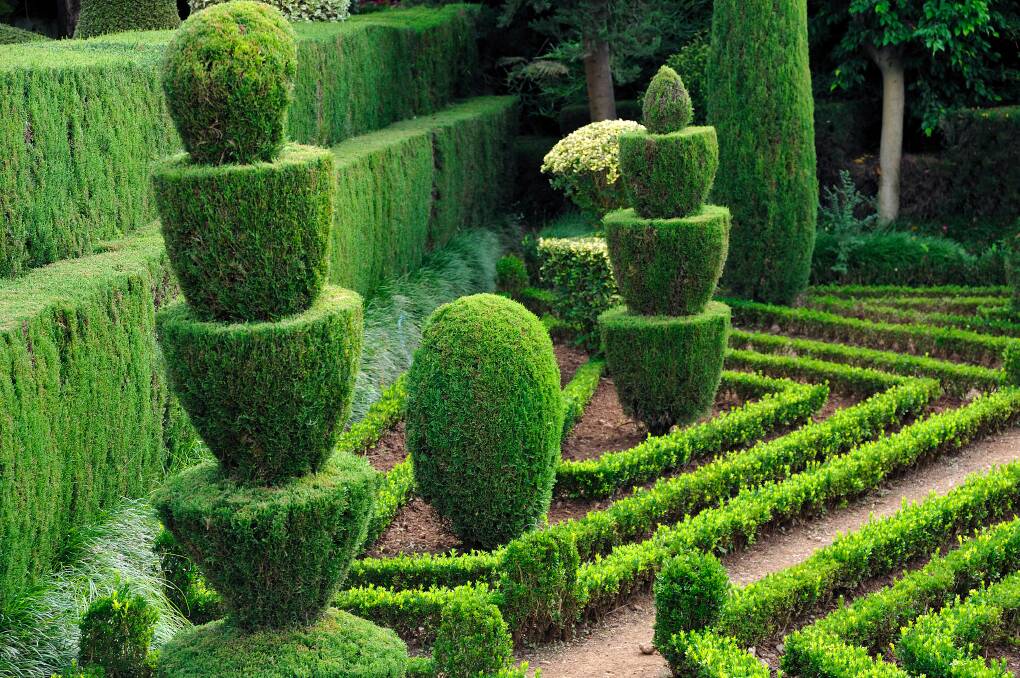 LIVING SCULPTURE: Hedges can be purely practical, providing privacy, or a dynamic, growing visual element in your garden.