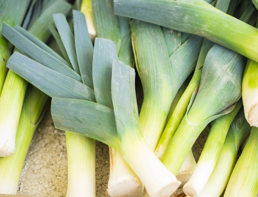 Although slow growers, leeks are definitely worth the wait.