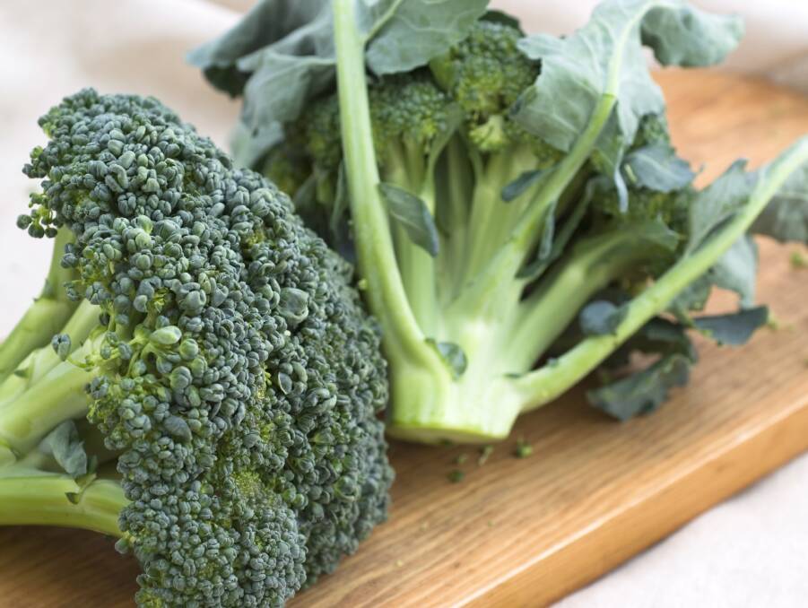 Planting broccoli now means you will have the green goodness all through winter.