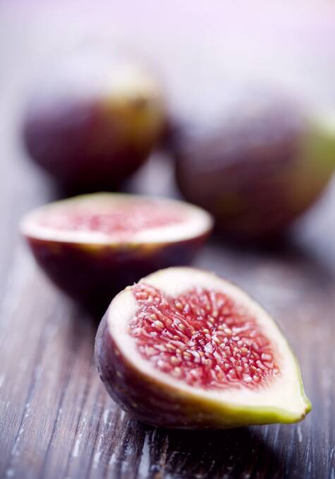FIGTASTIC: With delicious fruit and lovely foliage, figs are a great addition to any garden. They do well in Tasmania but are not a common choice.  