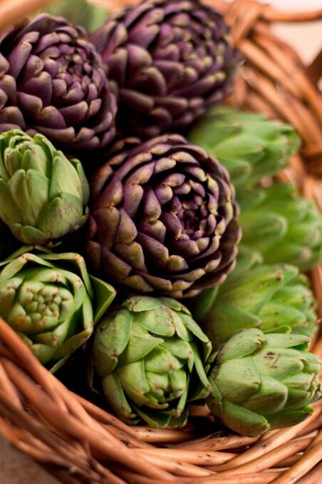 Artichokes do best in well-drained soil, rich in humus in a sunny position.
