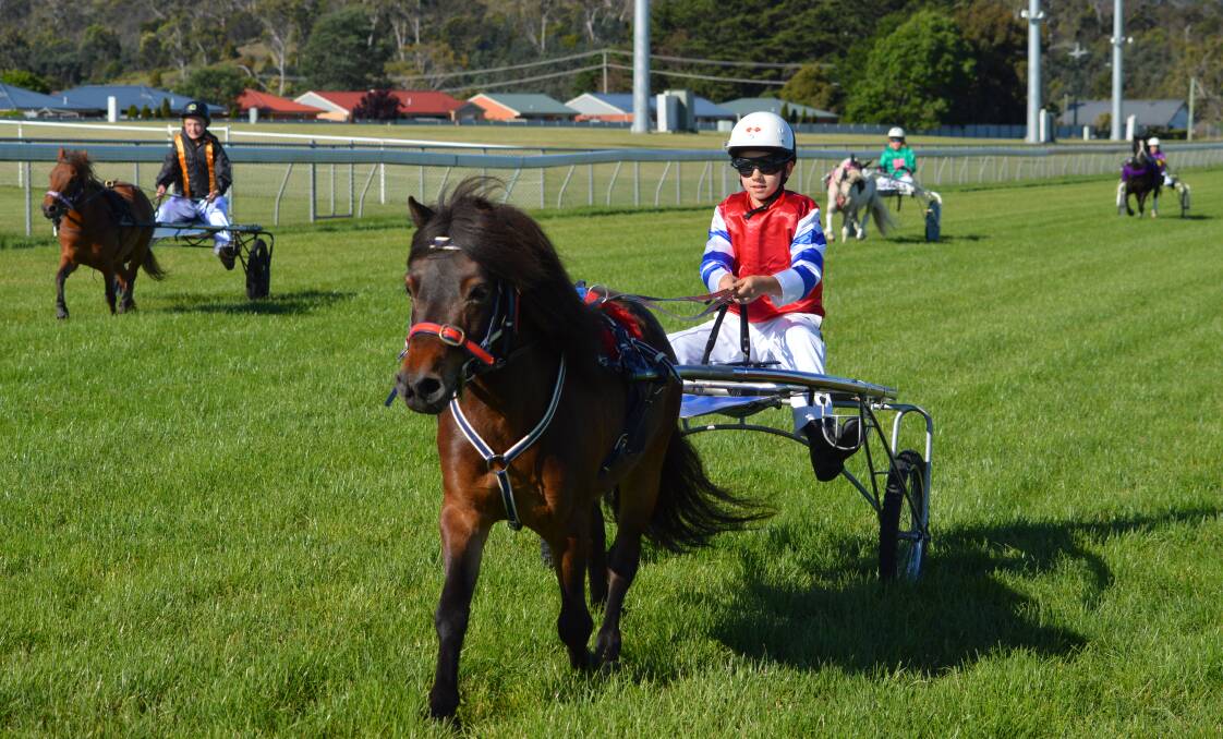 PONY EXPRESS: Sky Valley driven by Brodie Davis during the Mini Trot event in Launceston.  Races will be held across the north and north west.