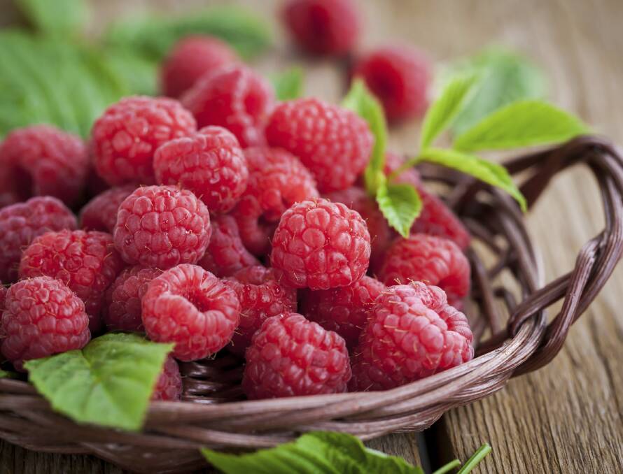 Potted soft and berry fruit like raspberries are now available.
