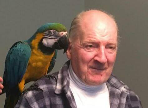 Tasmanian Bernard Gore has been missing from Woollahra in New South Wales since Friday January 6.
