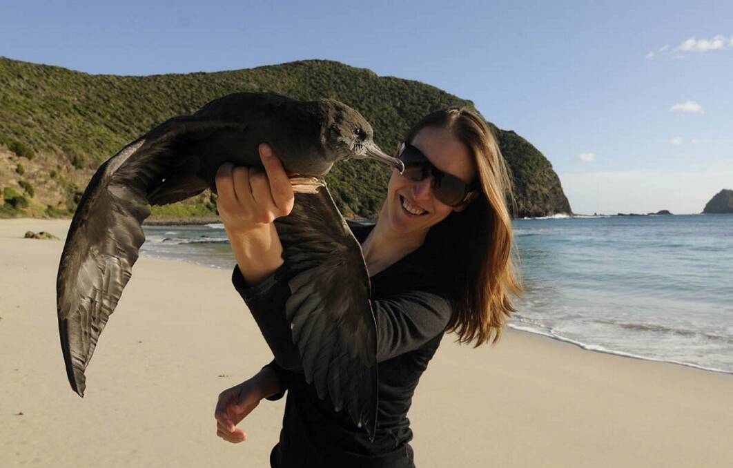 RESEARCH: Marine Biologist Dr Jennifer Lavers travelled to two locations with the film crew from 'A Plastic Ocean', researching the impact of plastic pollution on seabirds. Picture: Silke Stuckenbrock