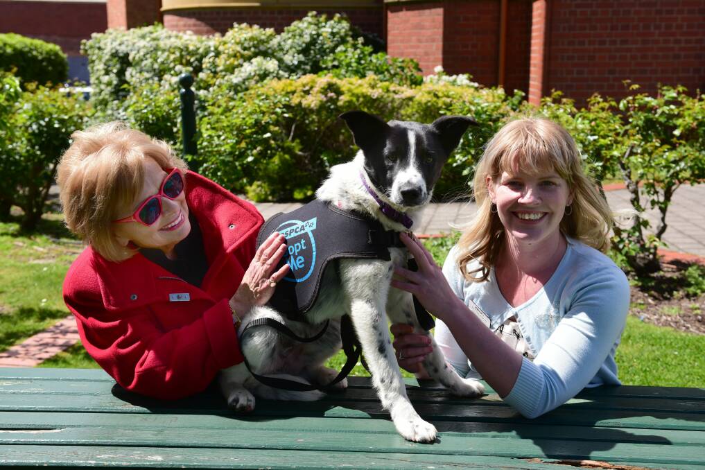 West Tamar mayor Christina Holmdahl and RSPCA Tasmania marketing and fundraising coordinator Melanie Knight with "Bobby".