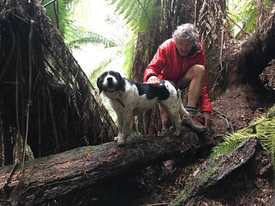 STILL MISSING: Police and SES will continue to search for missing Launceston man Bruce Fairfax who was last seen walking in southern bushland. The 66-year-old has Parkinson's disease and has not been heard from in five days.