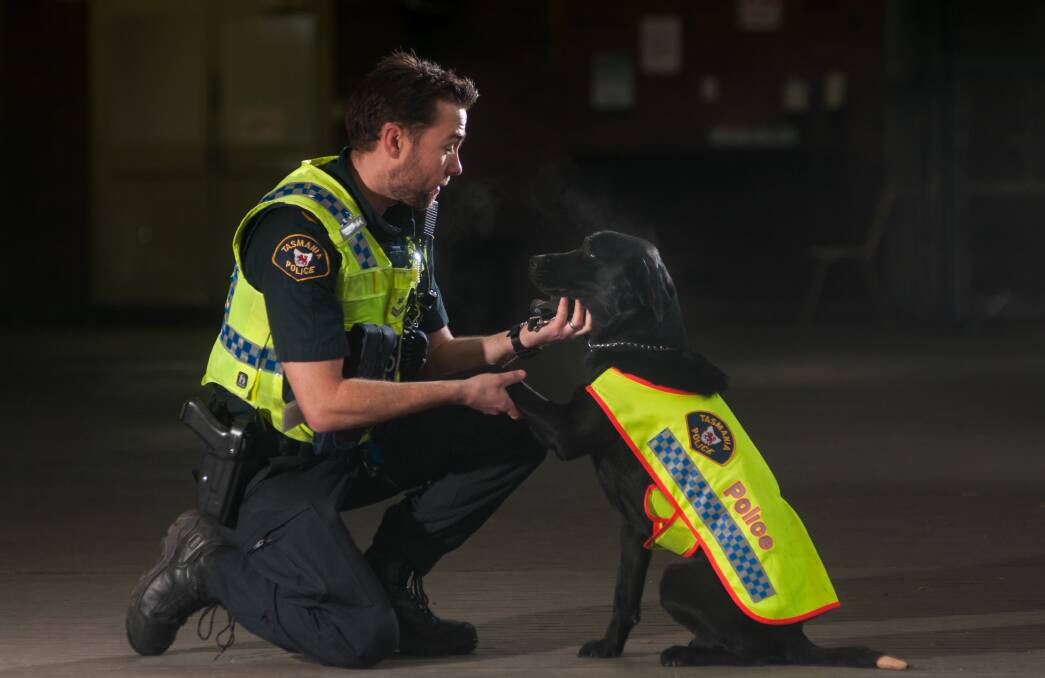 DRUG BUST: Fang the drug detector dog, pictured with handler Senior Constable Jareth Anderson, helped police sniff out offenders in Launceston's CBD on Thursday.