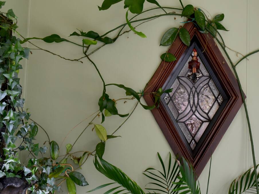 FLORA: An indoor window surrounded by flora in the mini conservatory.