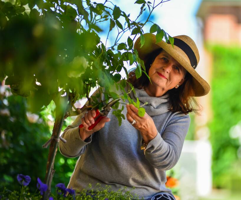 GREEN THUMB: Sue Gillon, of Evandale, prepares for a Royal Flying Doctor Service fundraiser at her stunning garden, to be held on Sunday. Picture: Phillip Biggs