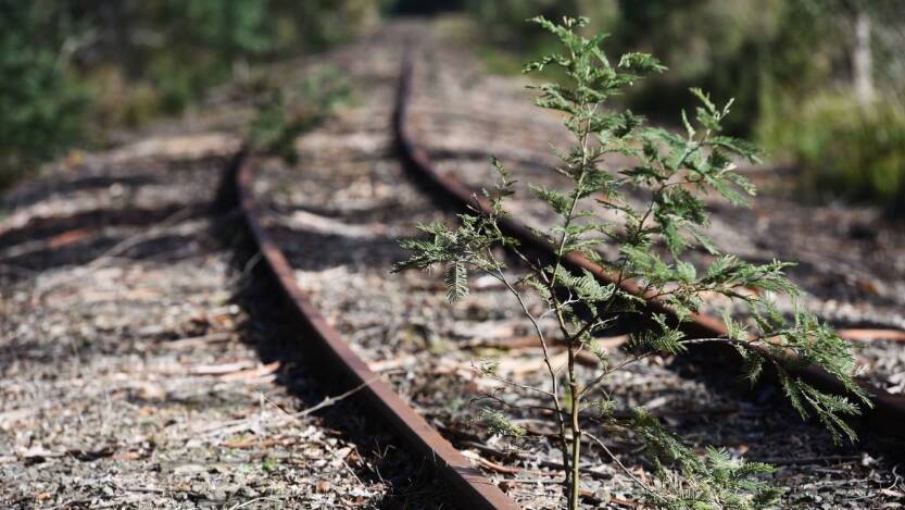 Delay could affect Rail Trail: mayor