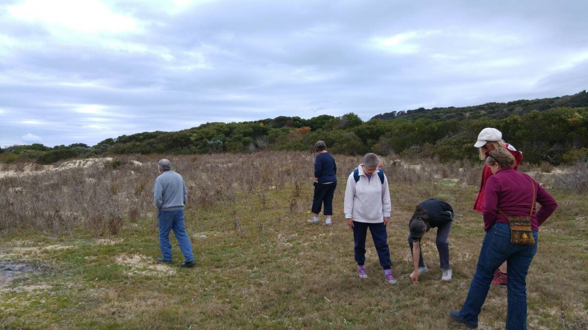 LEADING THE CHARGE: Community volunteers inspect a weed management trial site at Bellingham.