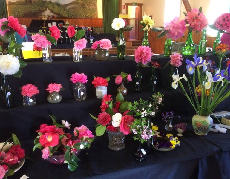 SPRINGTIME: This year's Branxholm Flower Show featured displays of spring bulbs, daffodils and floral art.