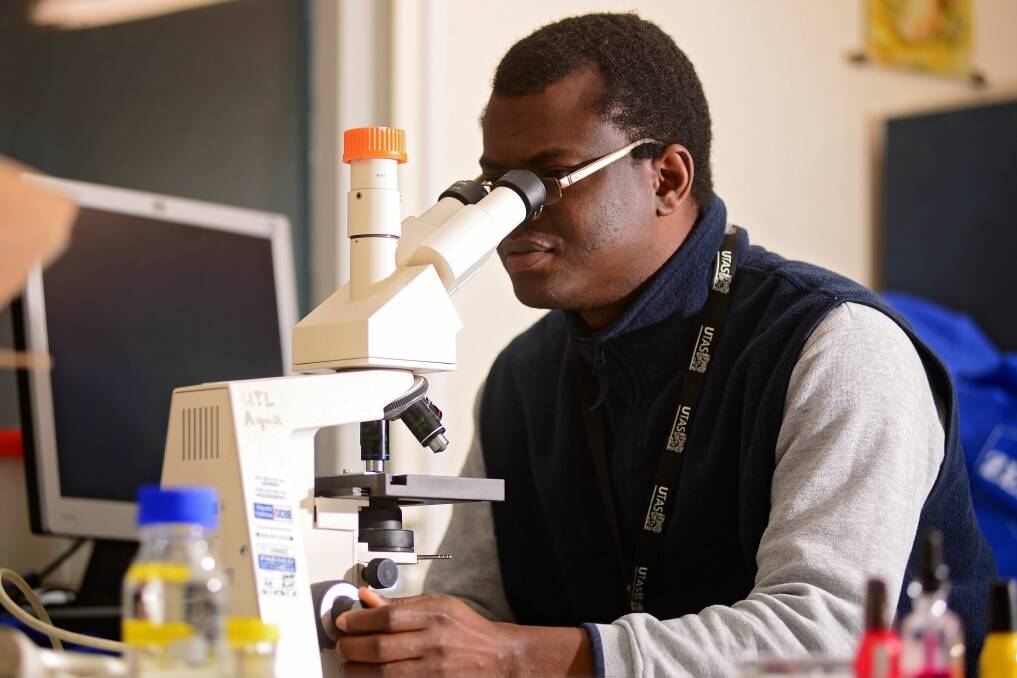 DISCOVERY: Olumide Odeyemi measures pollen at UTAS. Picture: Phillip Biggs 