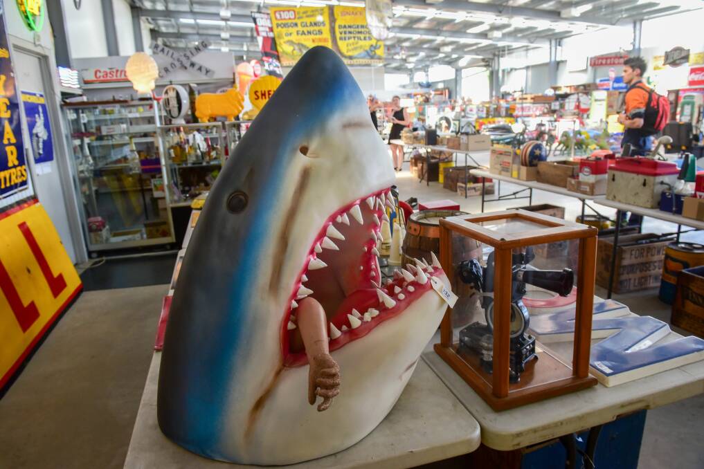 Another interesting item in the collection - an old carnival shark head. Picture: Paul Scambler