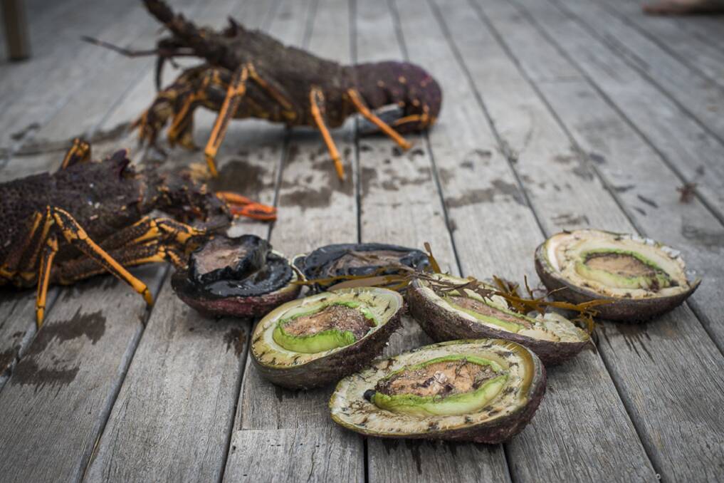 FORAGED: Chefs will put on a glorious display of food for the long lunch at the Flinders Island Food and Crayfish Festival. Picture: Chris Crerar