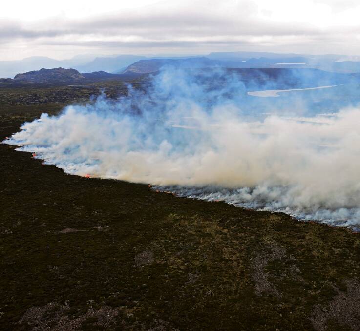 DAMAGING: Fires burning near Lake Mackenzie in January. Pictures: Phillip Biggs