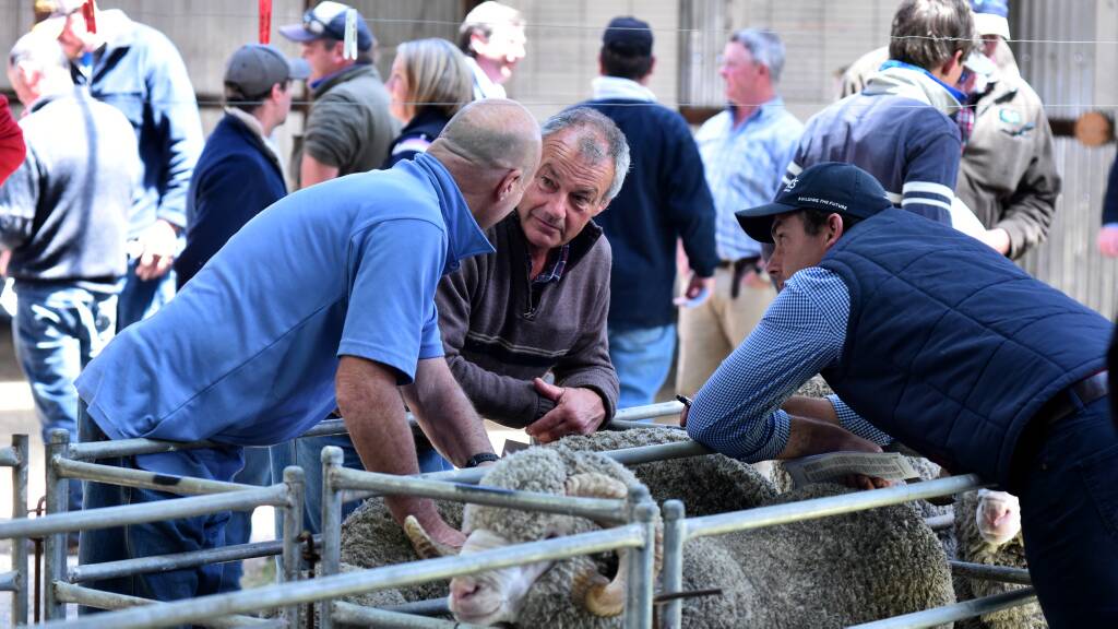 Ram sale at Campbell Town showgrounds first for many years