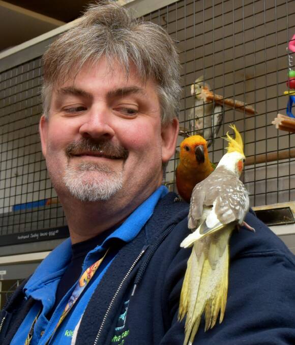 REUNITED: Petland Kings Meadows owner Brent Worsley is reunited with his unnamed stolen cockatiel (front) which was taken from the store earlier this week and returned under mysterious circumstances. Picture: Neil Richardson