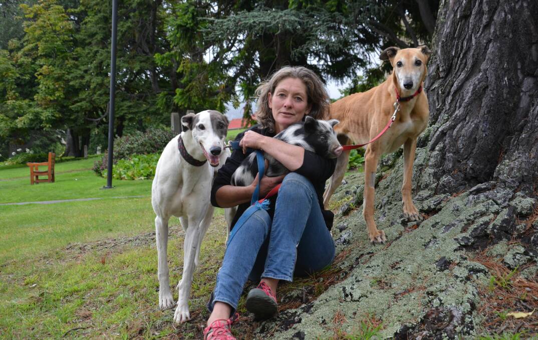 Animal advocate Emma Haswell with rehomed greyhounds Zoe and Anzi and piglet Marvin.