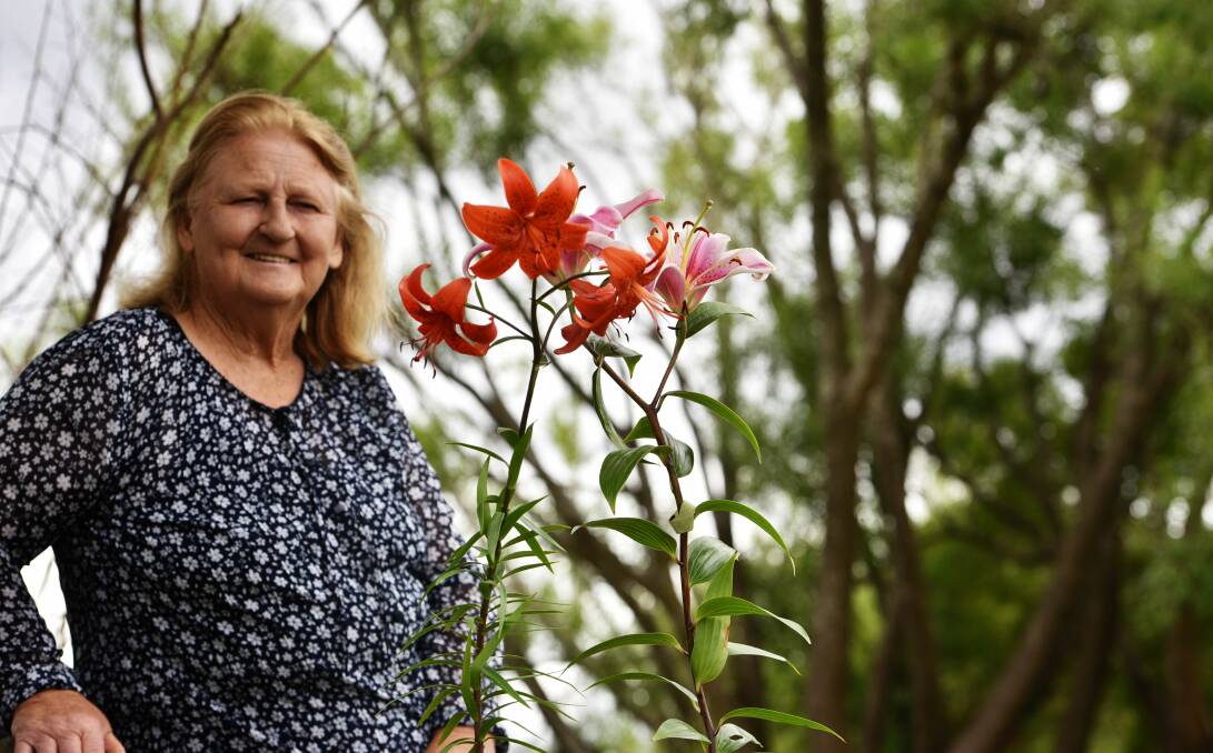 SWEET: Northern Tasmanian Lilium Society president Vera Masciantonio is getting ready for this year's Lilium Show at St Ailbes Hall in Launceston on Saturday and Sunday. Picture: Scott Gelston