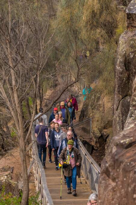 The group walked along Duck Reach track together. Picture: Phillip Biggs