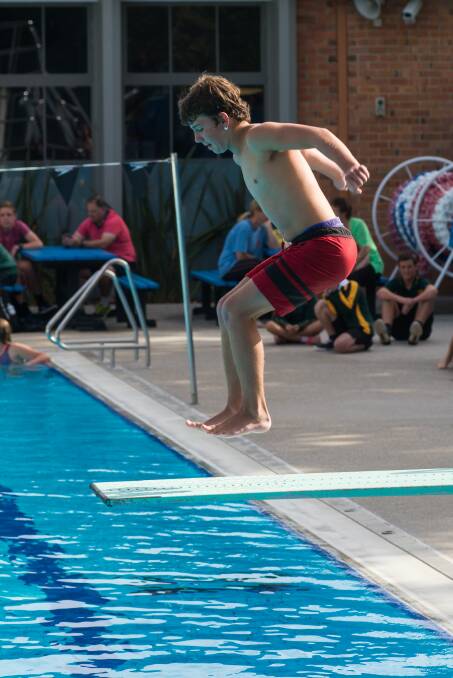 Drew Price, of Scottsdale High, jumps off the low board in the grade 8 boys' competition.