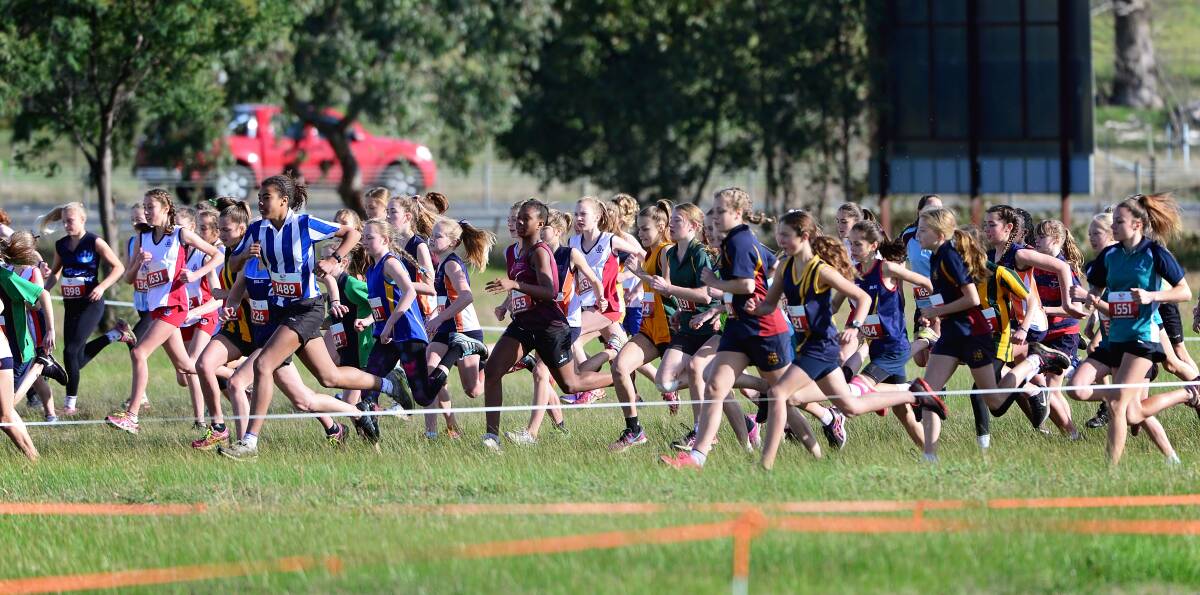 READY, SET, GO: Tasmanian secondary cross country runners set off in a mass start at Symmons Plains. Picture: Phil Biggs