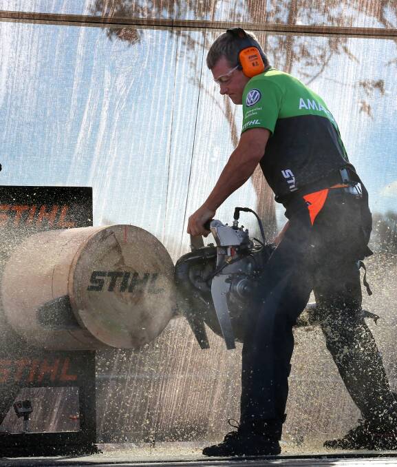 HARD WORK: Deloraine axeman Matthew Gurr competing in one of the sawing disciplines at round 3 of the Timbersports Australia championship in Ipswich.