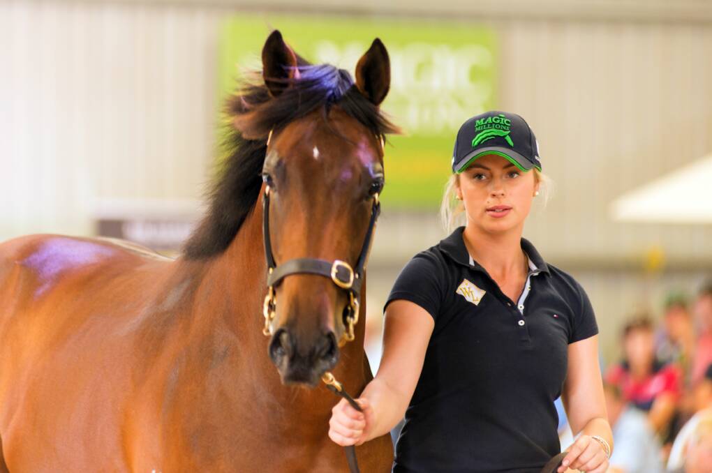 Future stars: The Magic Millions Tasmanian yearling sale is ready to deliver more life changing racetrack stars this February with an outstanding line up of youngsters to go under the hammer. Picture: Phillip Biggs