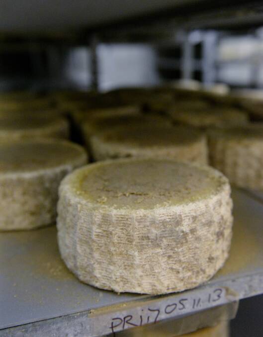 Grandvewe Cheeses is Australia's only organic sheep milk cheesery.