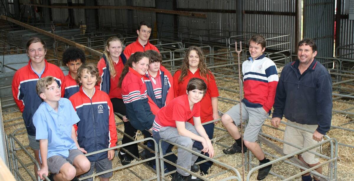 Community Spirit: Kids from Cressy school lent a helping hand to set up pens ahead of the show. 