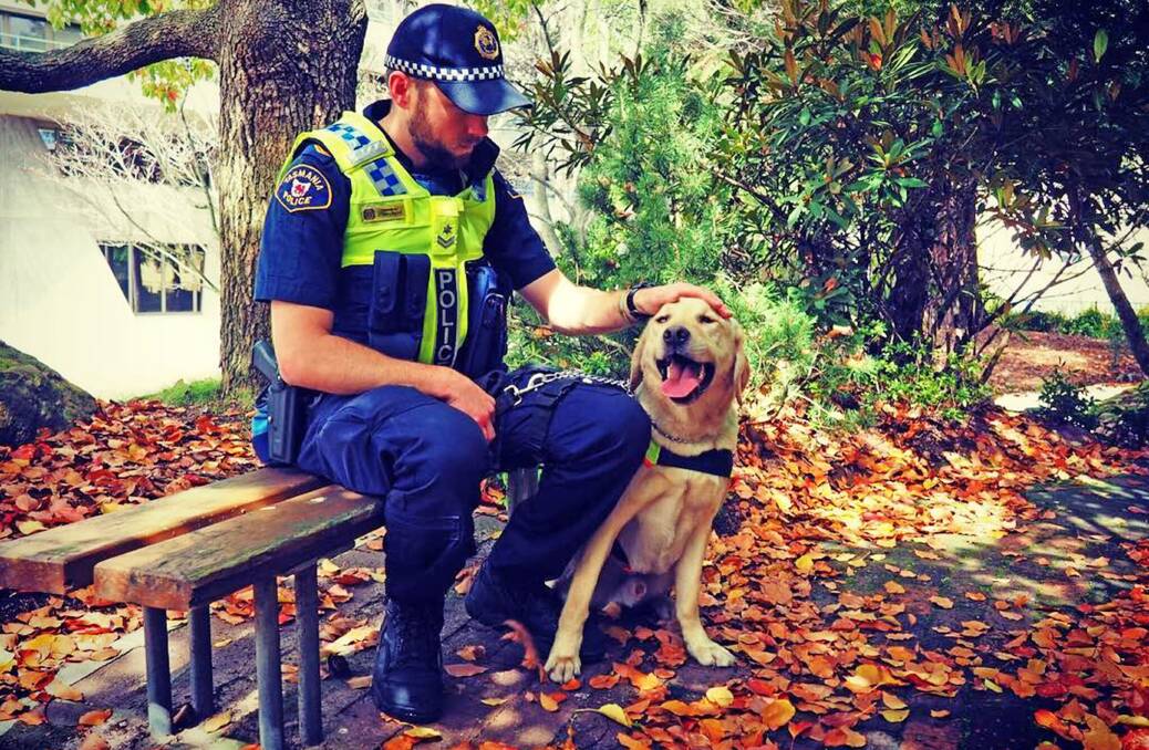 Senior Constable Jareth Anderson with Yardley, the 2-year-old Tasmania Police labrador. Picture: Melissa Mobbs 