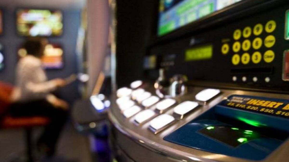 An average of $113.5 million was put through electronic gaming machines in pubs and clubs each year over the past five years.