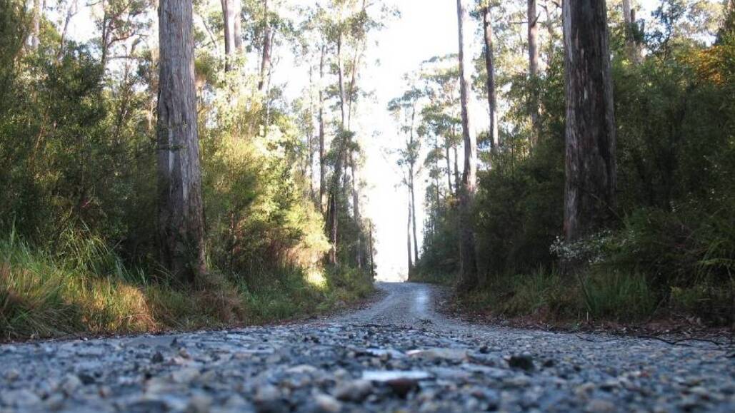 State puts up Tarkine plan for approval
