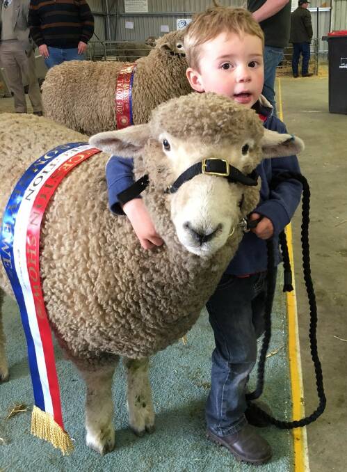 Cooper Hogarth, 2, of Evandale, with his prize-winning ewe Baa. Picture: Rochelle Galloway