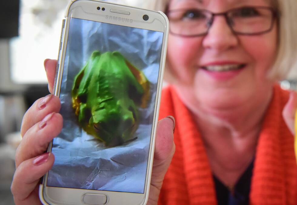 Paul Swiatkowski, of Invermay, believes other biosecurity measures should have been taken when a Green Tree Frog was found in a bag of bananas.